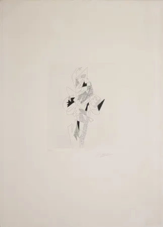 Aguafuerte Severini - Arlecchino