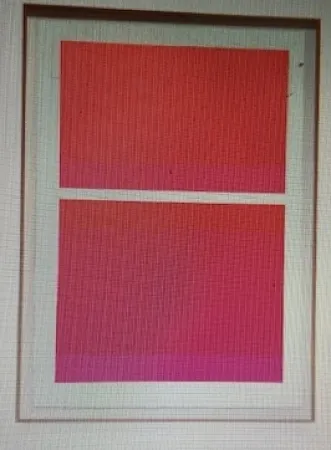 Serigrafía Shepherd - State Theater on Bikini Pink