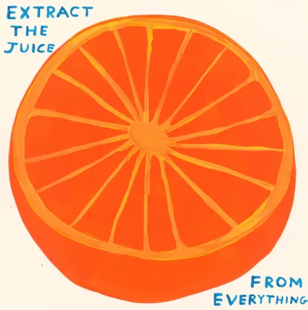 Serigrafía Shrigley - Extract The Juice