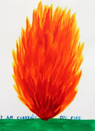 Serigrafía Shrigley - I Am Currently On Fire