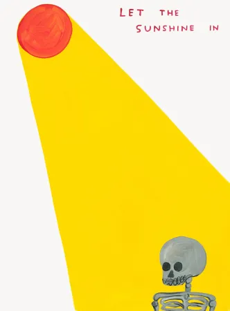 Serigrafía Shrigley - Let The Sunshine In