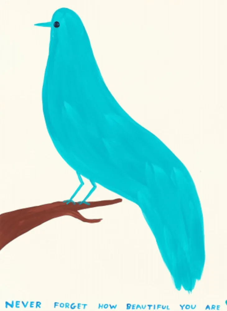 Múltiple Shrigley - Never Forget How Beautiful You Are