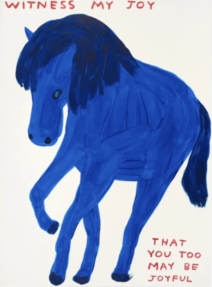 Serigrafía Shrigley - Witness My Joy