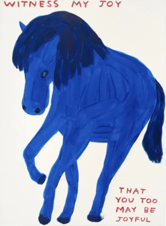 Serigrafía Shrigley - Witness My Joy