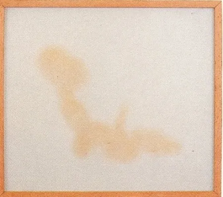 Múltiple Sicilia - Sans titre 2