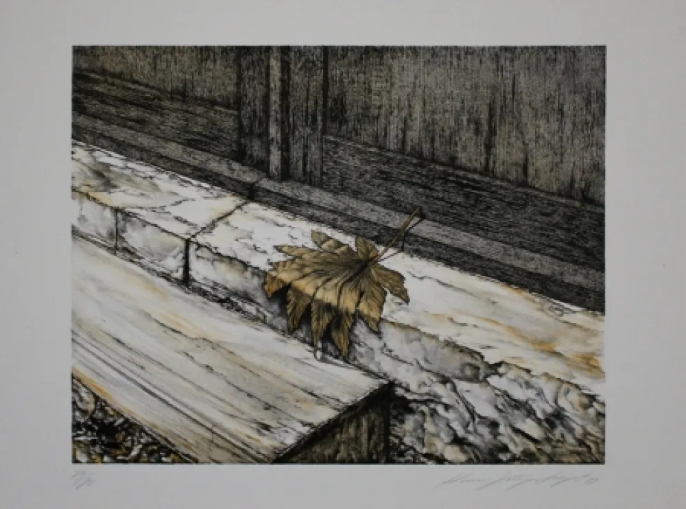 Litografía Siegert - Ahornblatt / Maple Leaf