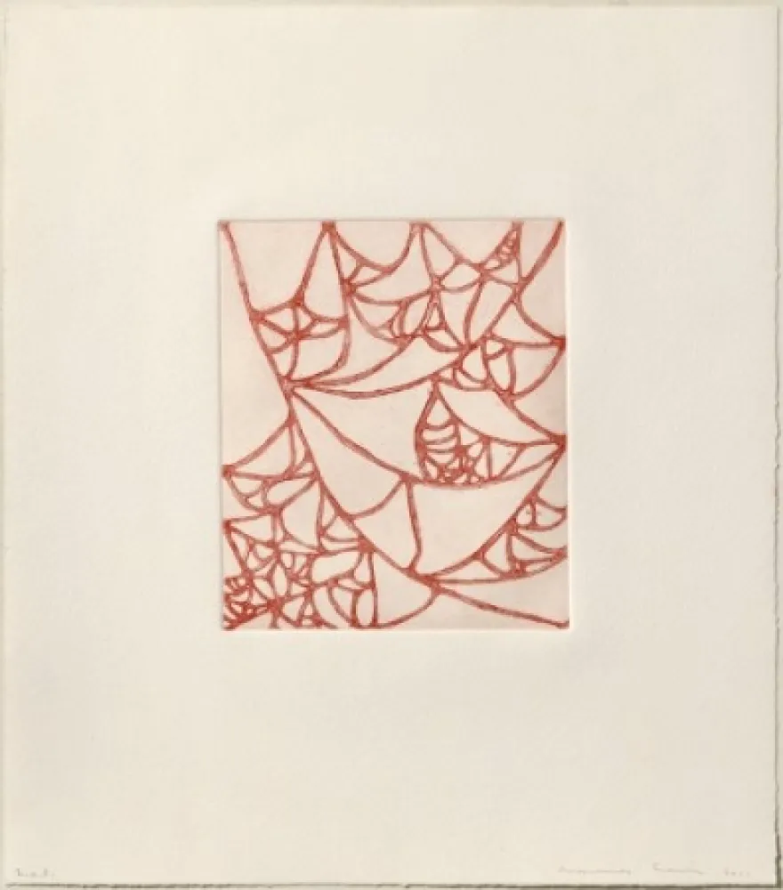 Grabado Siena - Línies pesades i infectades