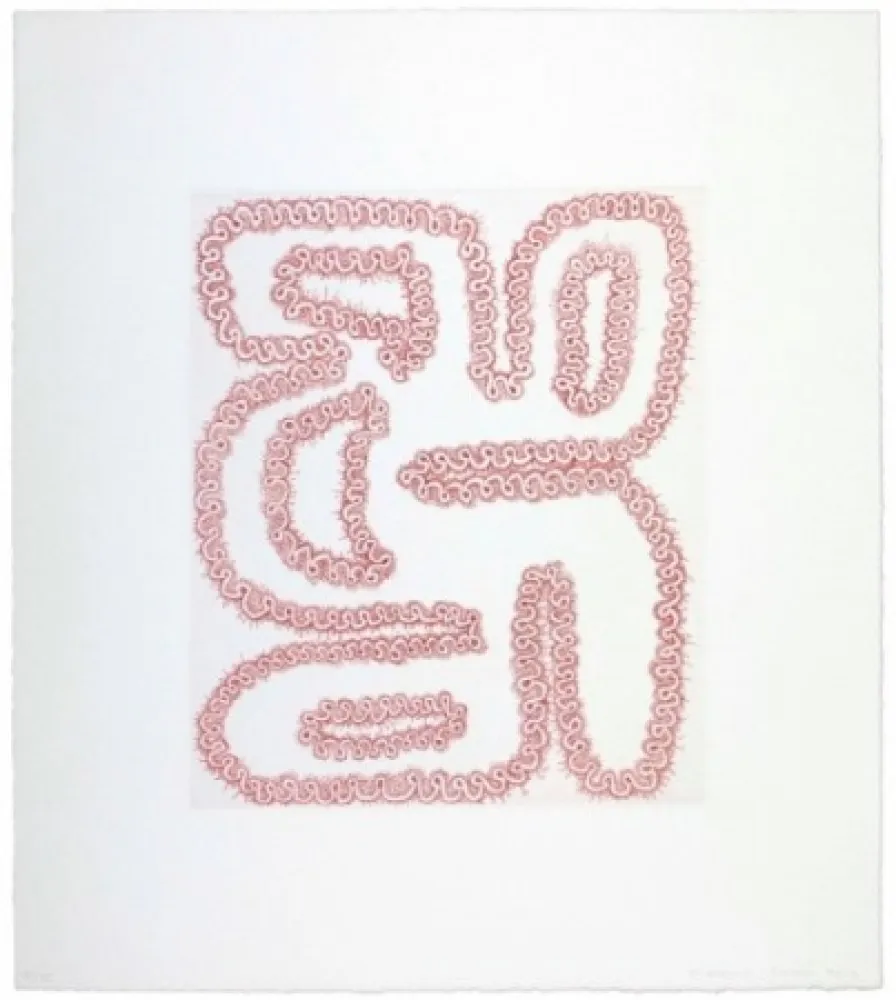 Grabado Siena - Roda tergiversada amb quatre forats