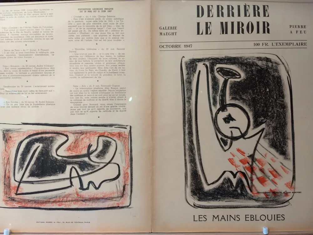 Libro Ilustrado Signovert - DLM no5