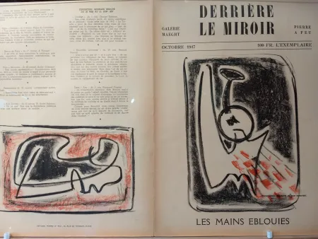 Libro Ilustrado Signovert - DLM no5