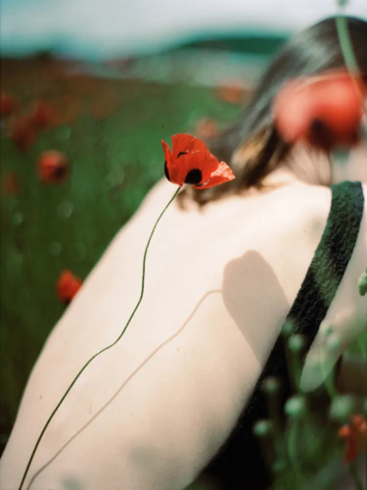 Fotografía Sitchinava - Picnic in a Poppy Field 2