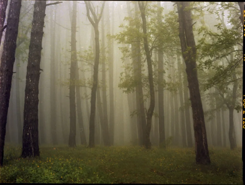 Fotografía Sitchinava - Upslope Fog in May 2