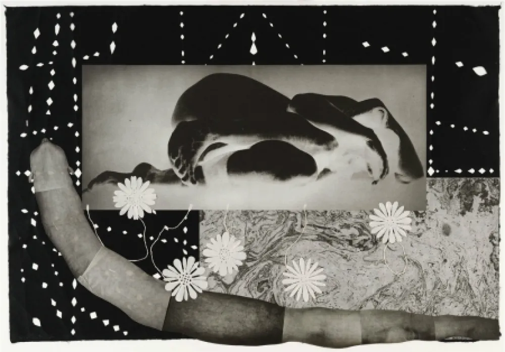 Grabado Smith - Worm