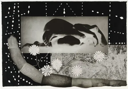 Grabado Smith - Worm