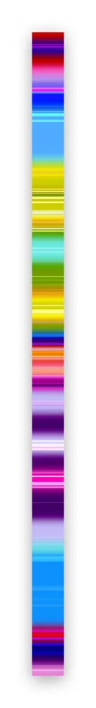 Fotografía Snell - Lumina # 202103