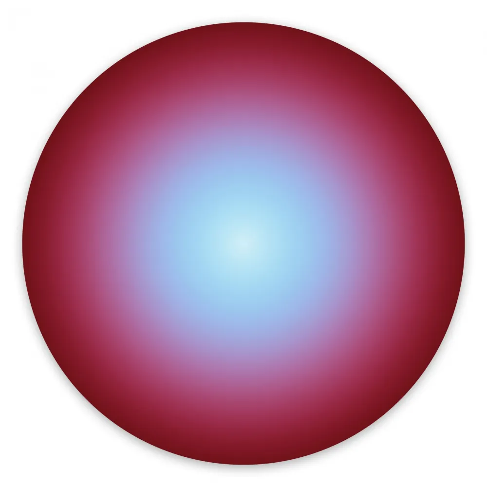 Fotografía Snell - Orb # 201904