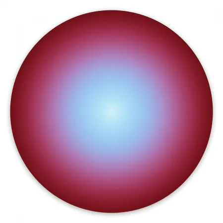Fotografía Snell - Orb # 201904