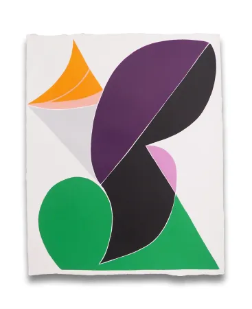 Sin Técnico Snow - Finite Field