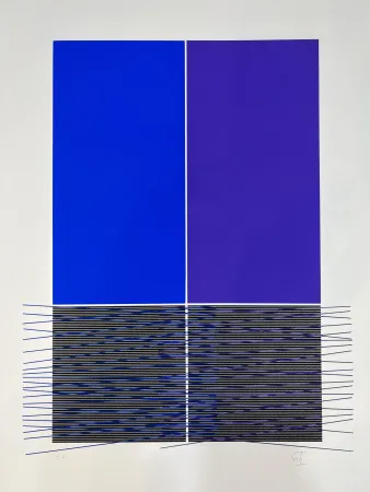 Serigrafía Soto - Composition