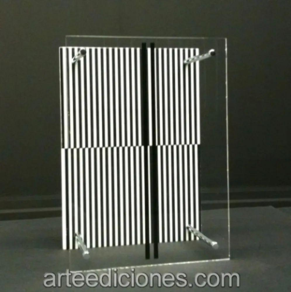 Sin Técnico Soto - Museo Moltiplicato / Permutation