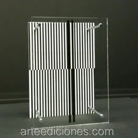 Sin Técnico Soto - Museo Moltiplicato / Permutation