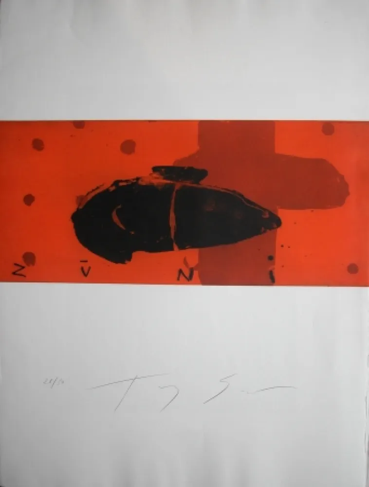 Grabado Soulie - SPRING 5 -gravure de TONY SOULIE