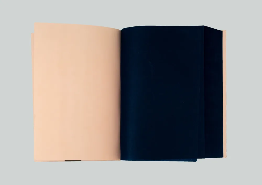 Múltiple Spalletti - Kleve