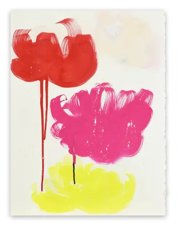 Sin Técnico Spielman - Quiver