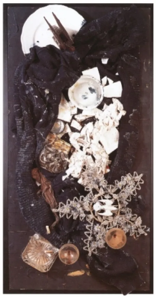 Sin Técnico Spoerri - Büsser-Jacke als Vogelfrass