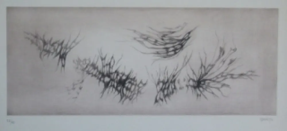 Aguafuerte Y Aguatinta Springer - Racines