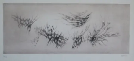 Aguafuerte Y Aguatinta Springer - Racines