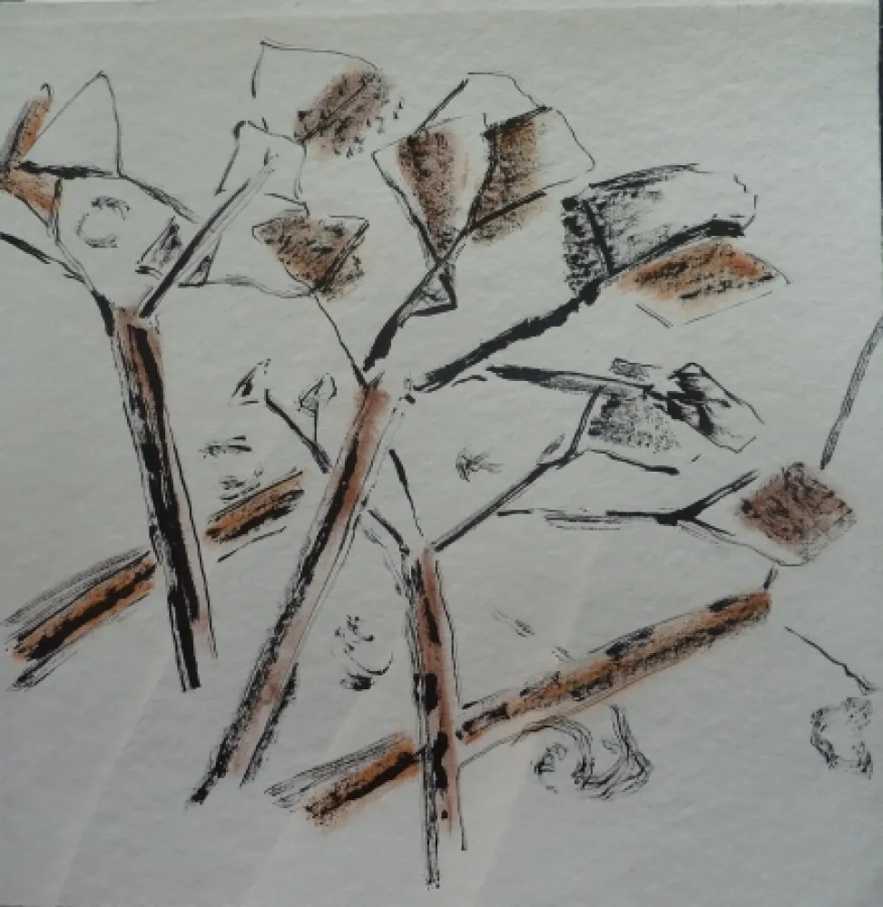 Sin Técnico Spronken - Untitled