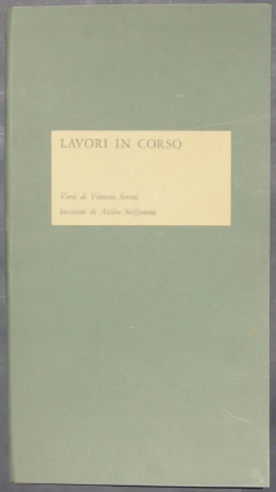 Libro Ilustrado Steffanoni - Lavori in corso