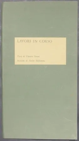 Libro Ilustrado Steffanoni - Lavori in corso