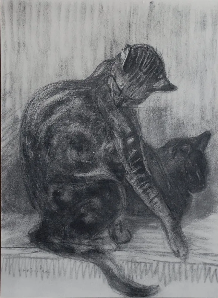 Litografía Steinlen - Chats et Autres Bêtes