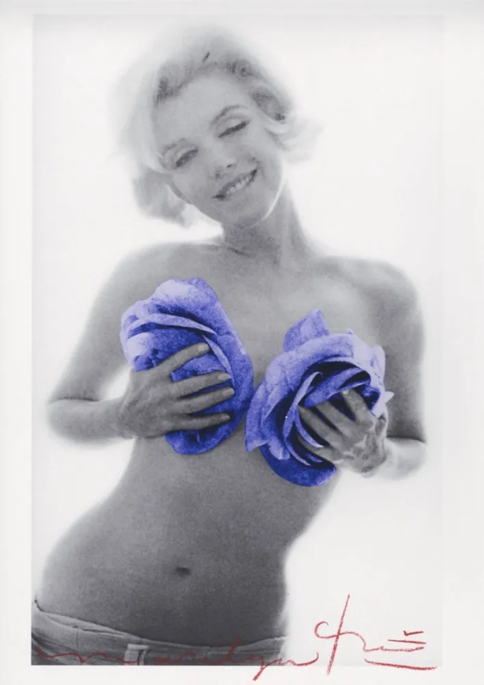 Múltiple Stern - Marilyn Monroe purple wink roses