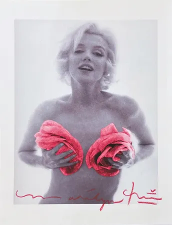 Sin Técnico Stern - Marilyn with Red Roses
