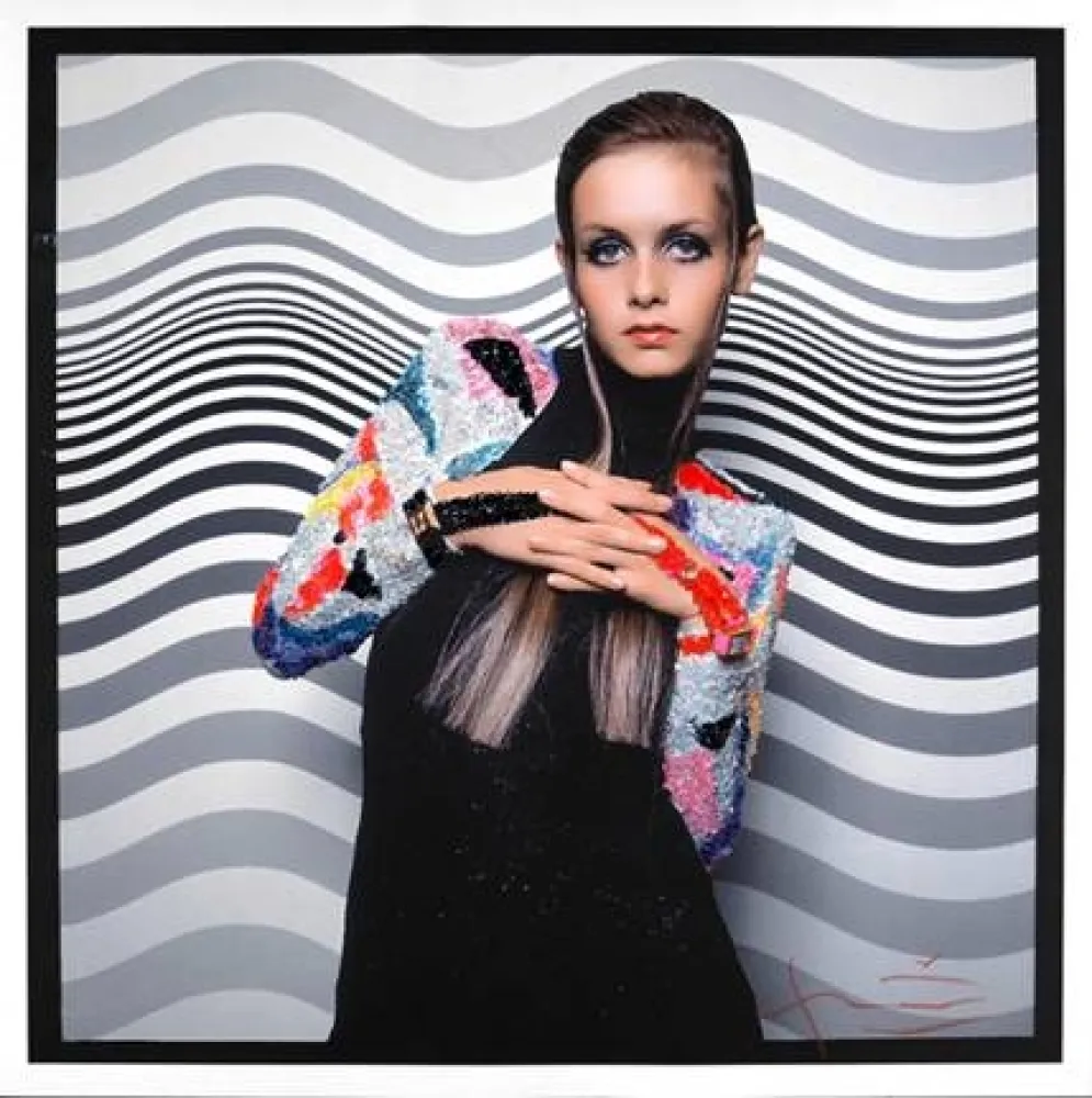 Fotografía Stern - Twiggy