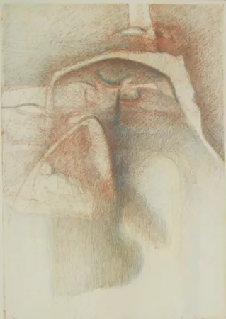 Libro Ilustrado Stradella  - Vedo coi loro occhi ciechi