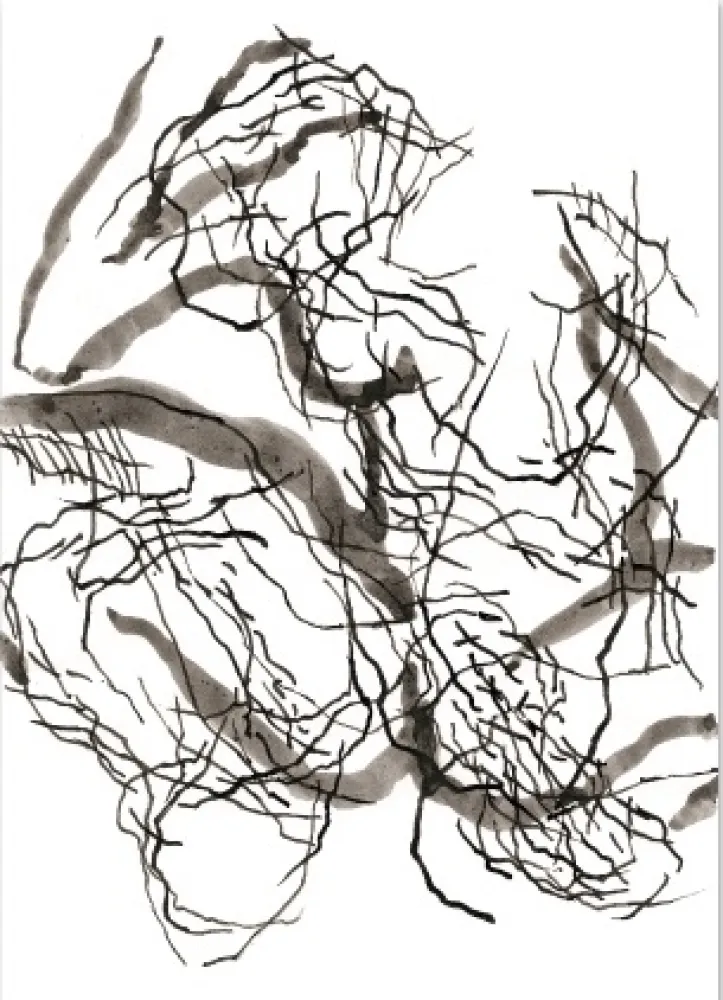 Estampa Numérica Strugalla - Nu (Collection Naked)