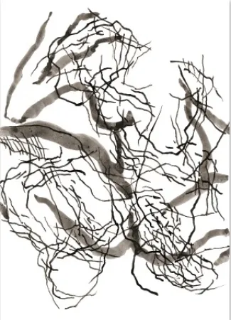 Estampa Numérica Strugalla - Nu (Collection Naked)