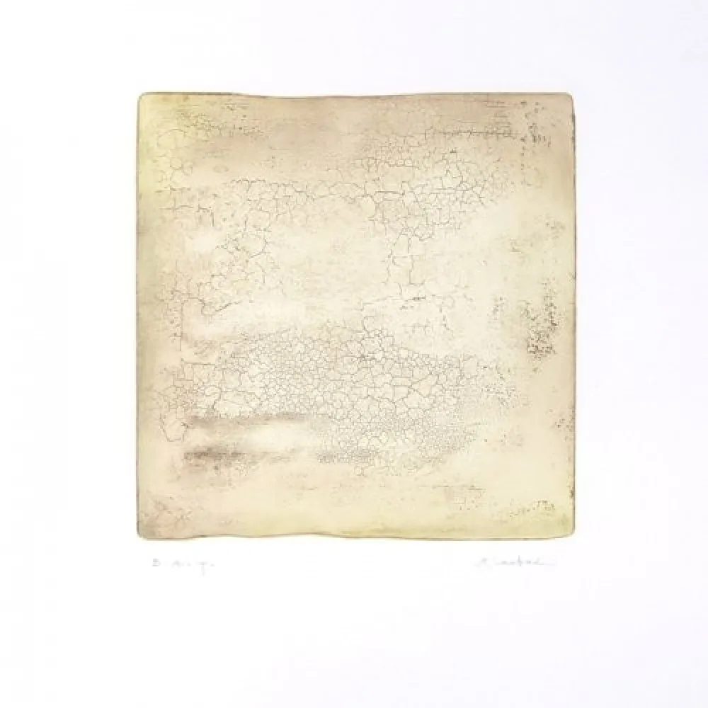 Grabado Su - Inactness B