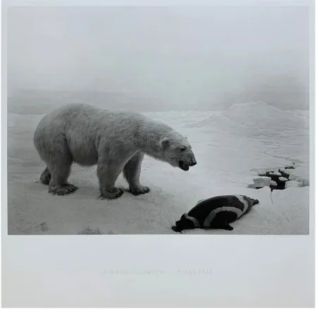 Múltiple Sugimoto - Polar Bear