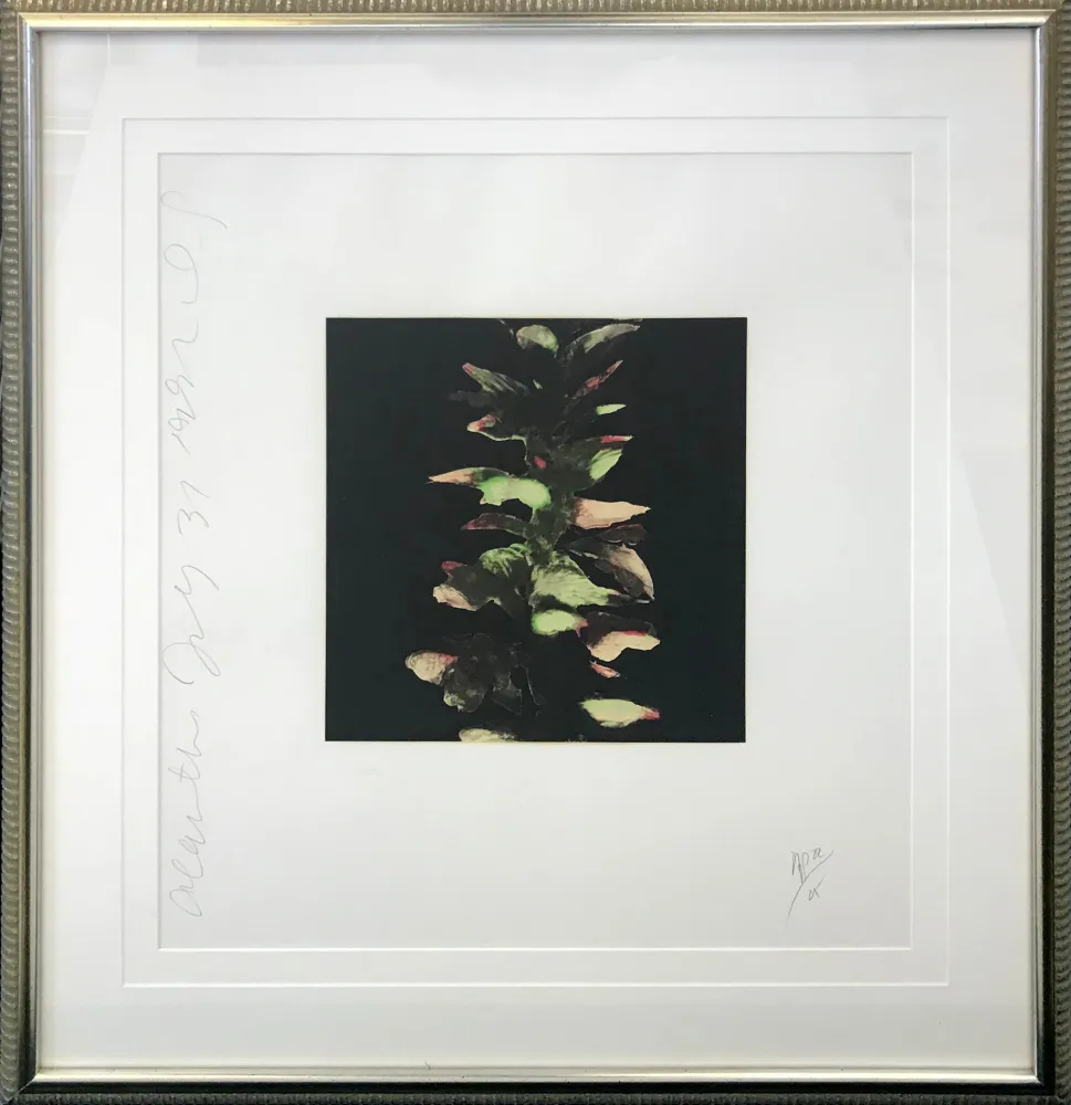 Serigrafía Sultan - ACANTHUS