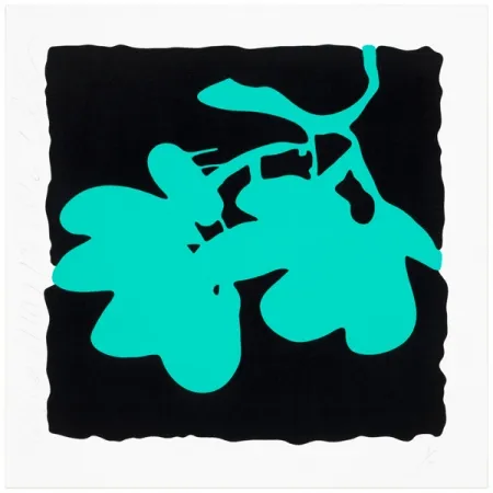 Serigrafía Sultan - Aqua, May 10, 2012