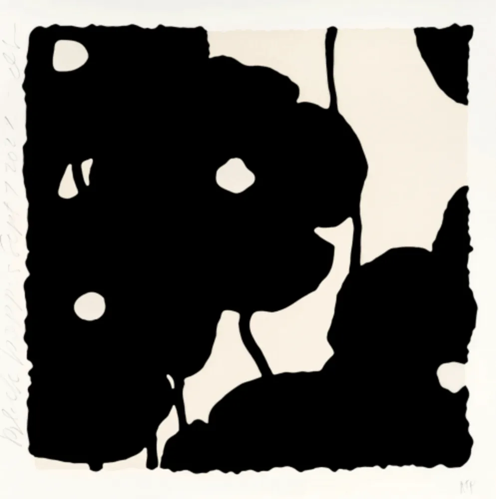 Múltiple Sultan - Black Poppies, Sept 7