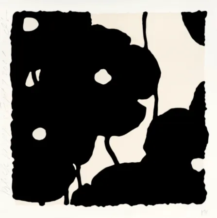 Múltiple Sultan - Black Poppies, Sept 7