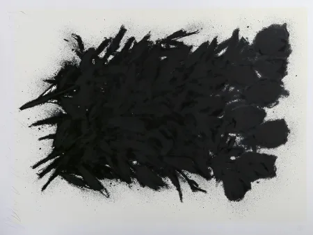 Serigrafía Sultan - Black Roses
