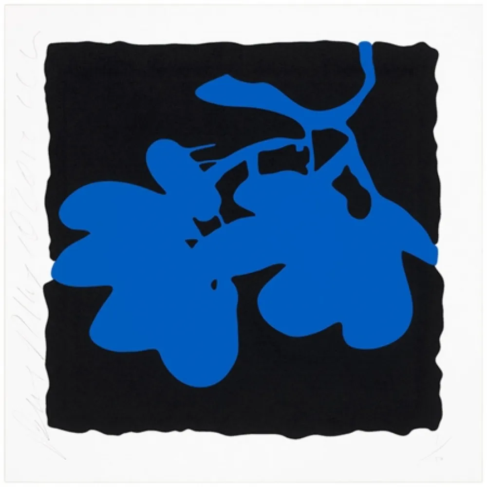 Serigrafía Sultan - Blue, May 10, 2012