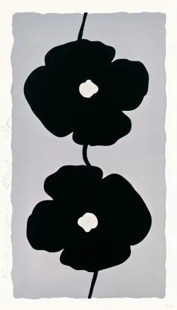 Múltiple Sultan - Double Poppies Black